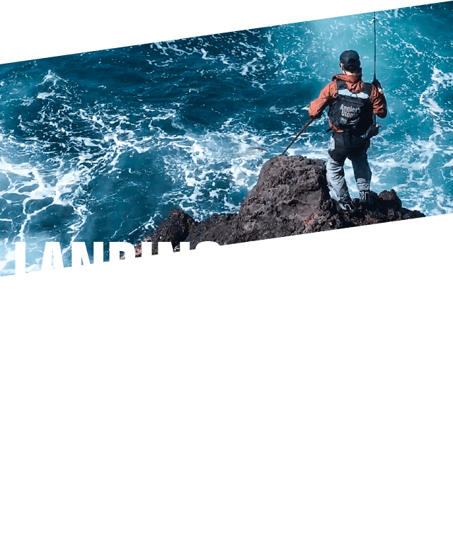 LANDING SHAFT LS-600