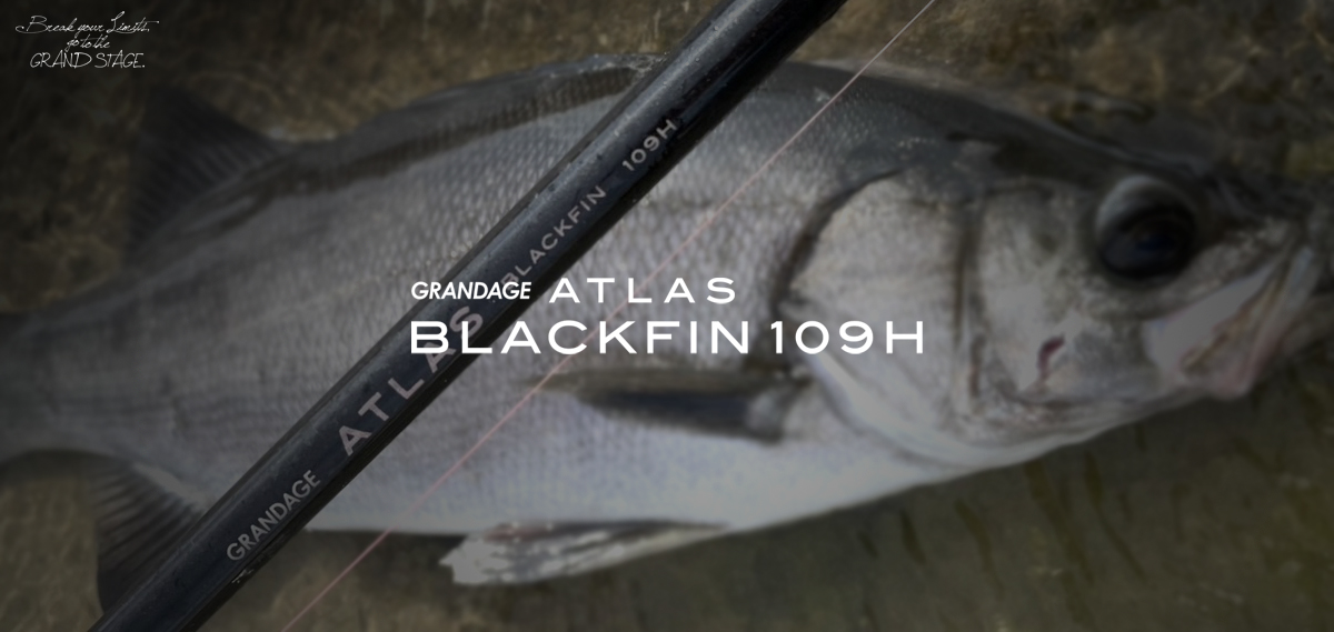 BLACKFIN 109H