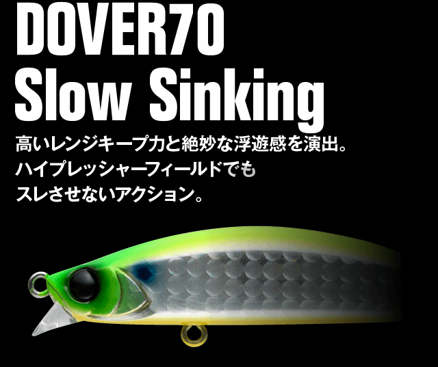 APIA DOVER70Slow Sinking ×2個セット