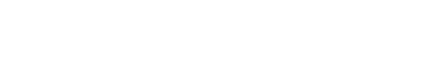 VIVOGUE 96ML+