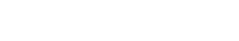 C-SAFARI 100GT