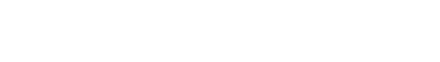 APIAプレミアム保証