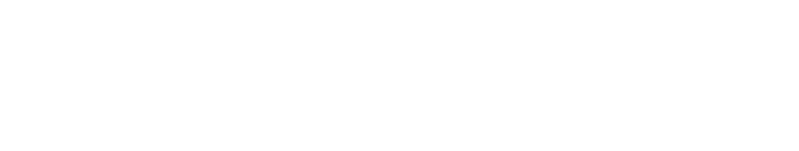 SILVER SCALE S65ML