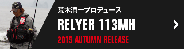 RELYER 113MH