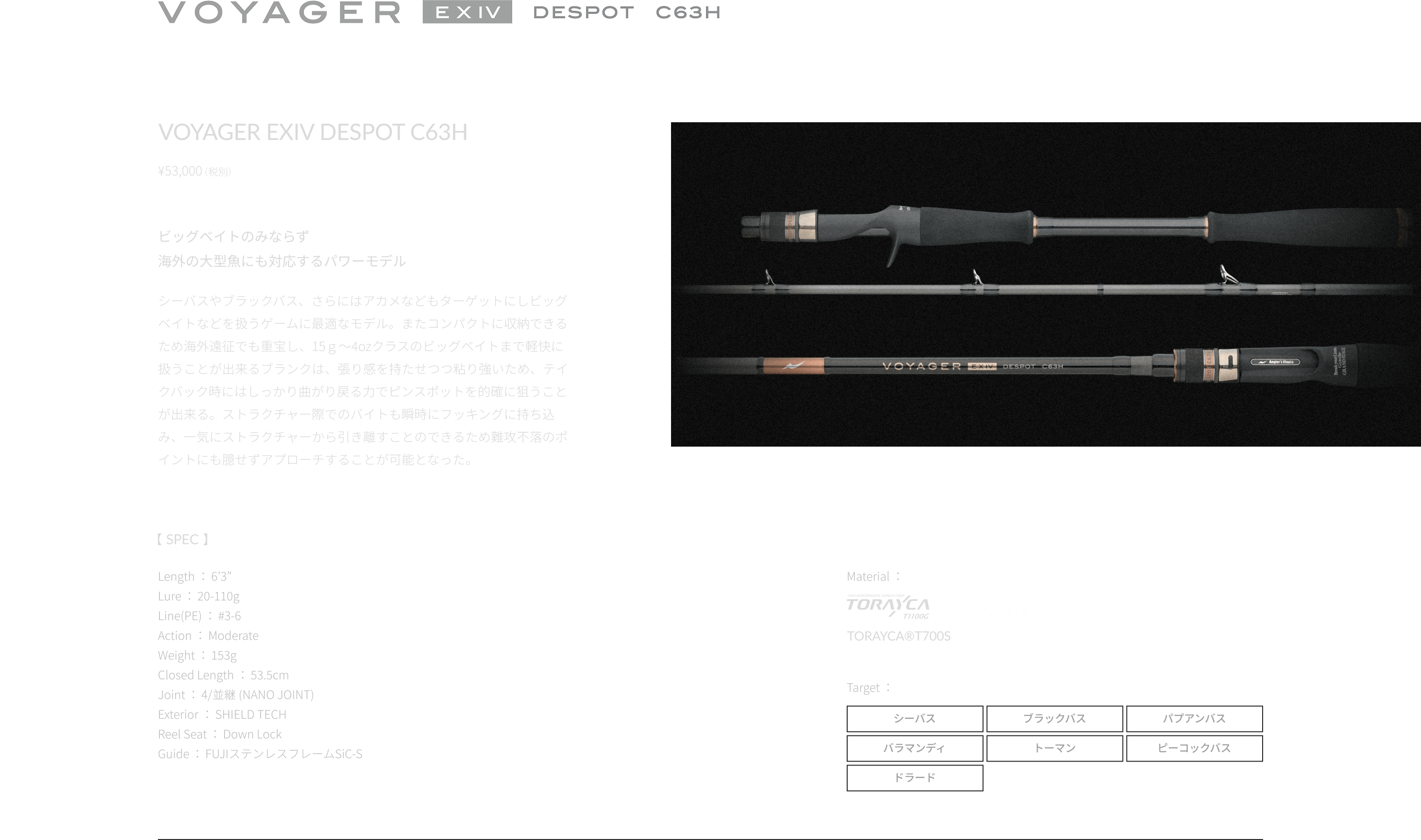 VOYAGER EXIV DESPOT C63H ビッグベイトのみならず海外の大型魚にも対応するパワーモデル